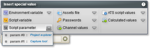 values of the script parameters