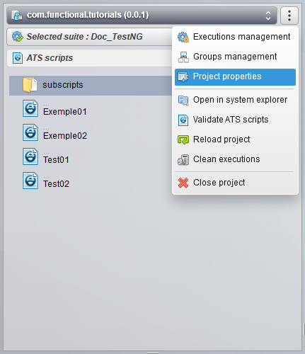 project properties
