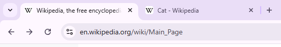 A tab from a browser