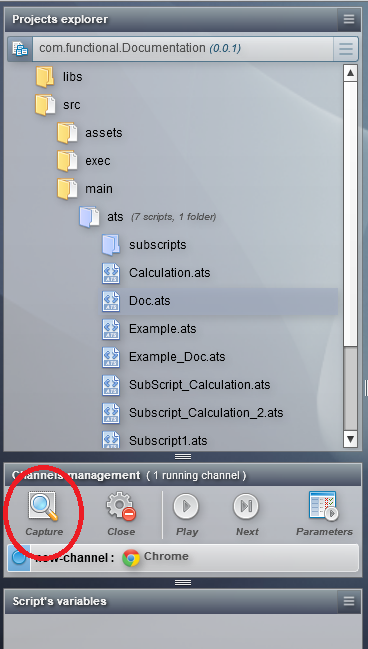 capture tool icon in editor